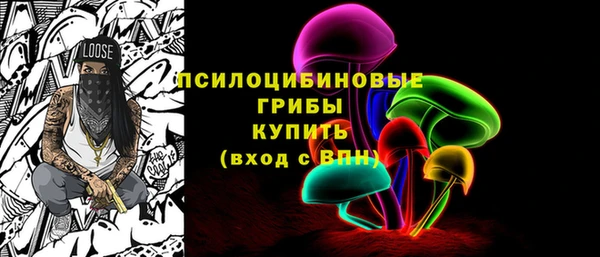 индика Алексеевка
